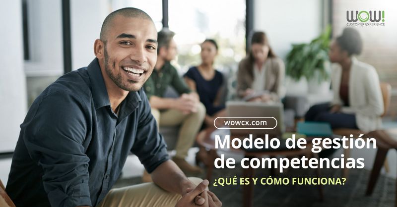 ¿Qué es un modelo de gestión de competencias y cómo funciona?