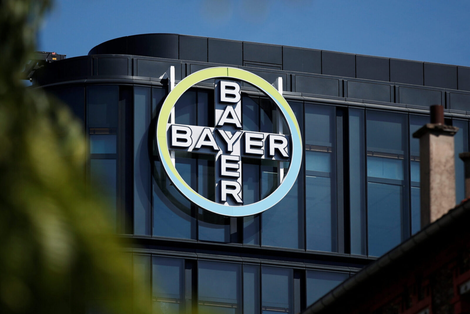 Caso de éxito: Bayer y WOW! CX