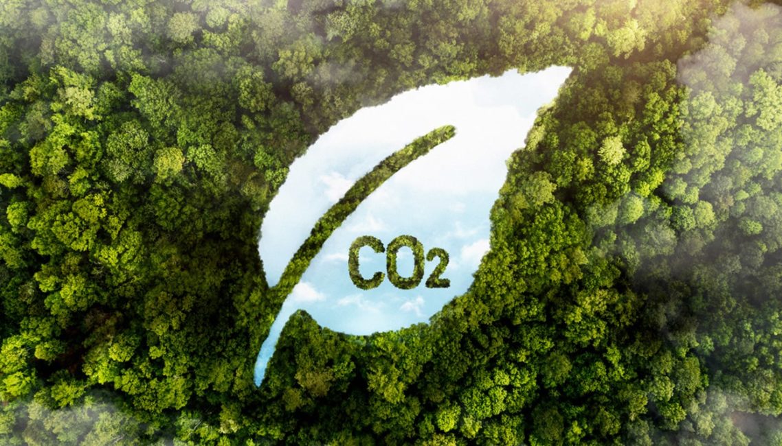 Cómo reducir la huella de carbono usando la tecnología y la CX
