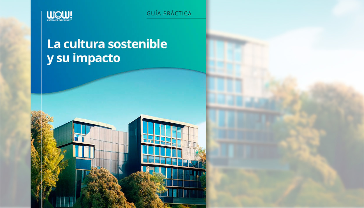 Guía: La cultura sostenible y su impacto