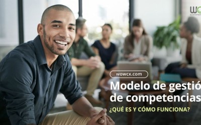 ¿Qué es un modelo de gestión de competencias y cómo funciona? | Estrategia
