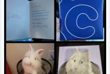 Jeanne Bliss: Cómo Chewy.com demuestra que se preocupa por tu mascota tanto como tú | Opinión
