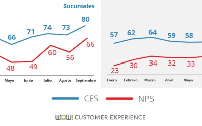 El Customer Effort Score en épocas de pandemia | Encuestas