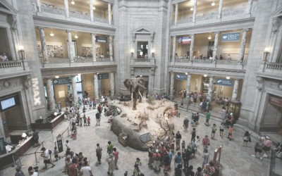 Jeanne Bliss: Construyendo un mapa de viaje del cliente desde cero en el Smithsonian | Opinión
