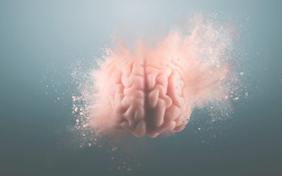 ¿Cómo crear experiencias sensoriales para conectarte con las emociones del cliente? | Opinión