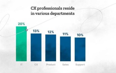 ¿Cuál es el estado del profesional en Experiencia de Cliente para 2022? | Estrategia