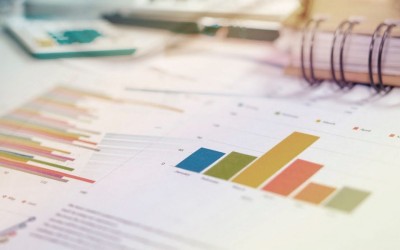 White Paper: Cómo construir un programa de medición de CX en siete pasos | White Paper