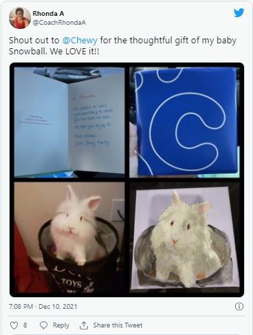 Jeanne Bliss: Cómo Chewy.com demuestra que se preocupa por tu mascota tanto como tú | Opinión