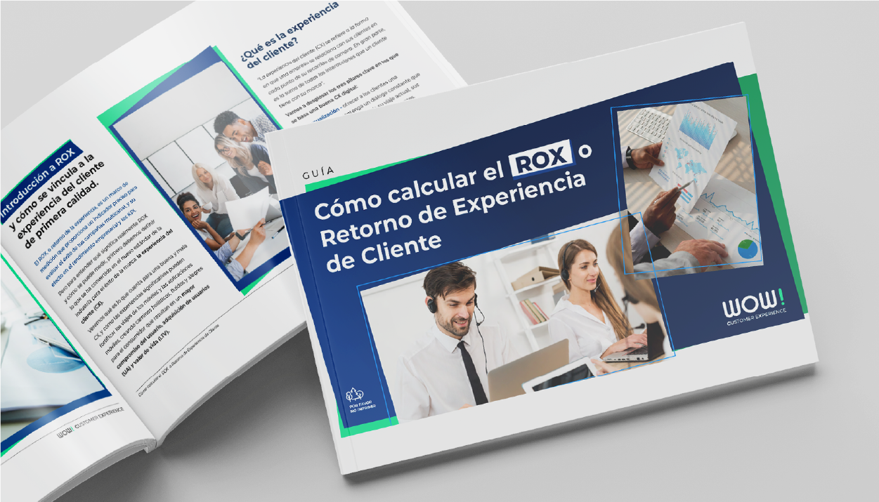 Guía Completa: Aprende a Calcular el ROX (Retorno de Experiencia)