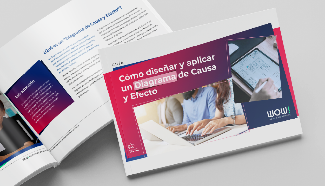 Guía: Cómo diseñar y aplicar un Diagrama de Causa y Efecto